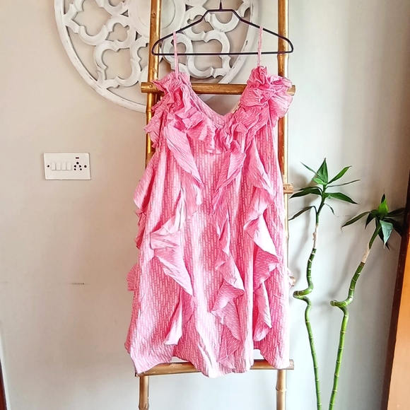 River Island Dresses & Skirts - 🍁🍁🍁 River Island Frill Dress